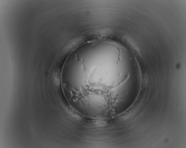 X0000094810719200711241445