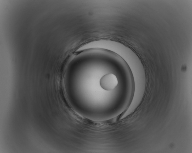 X0000094810720200711241445