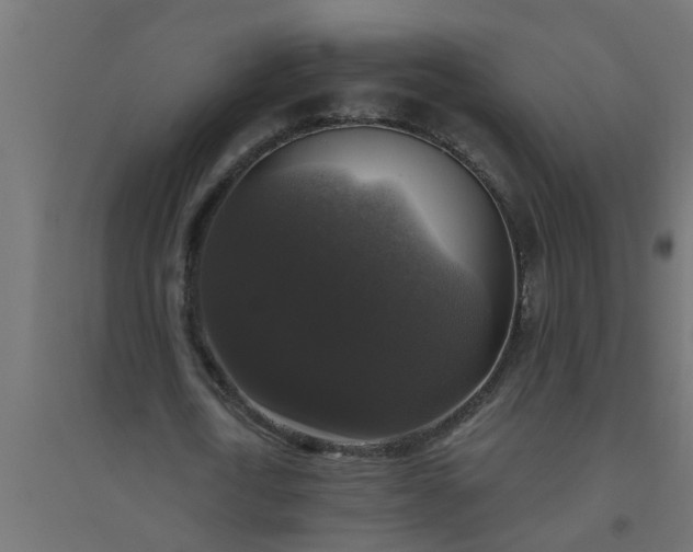 X0000094810722200711241445