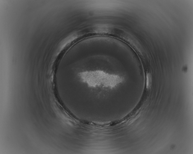 X0000094810723200711241445