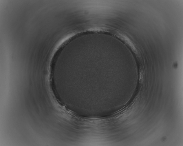 X0000094810724200711241445