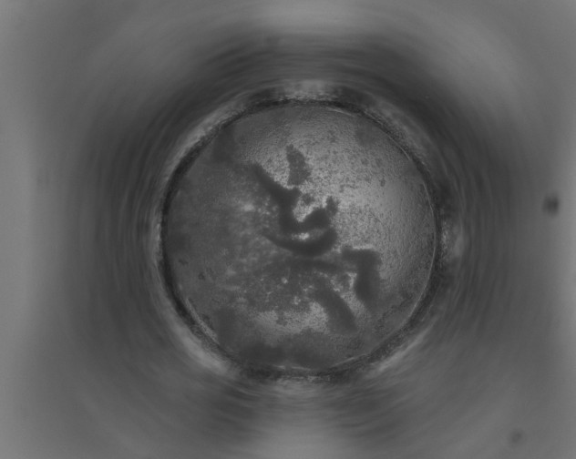 X0000094810725200711241445