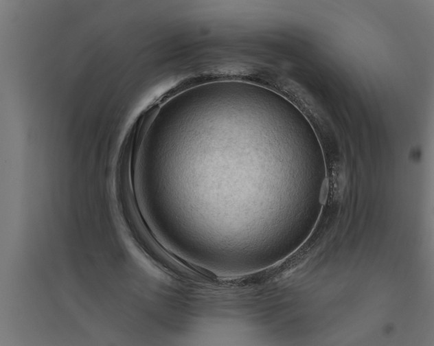 X0000094810726200711241445