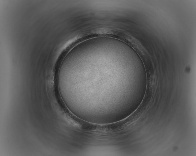 X0000094810727200711241445