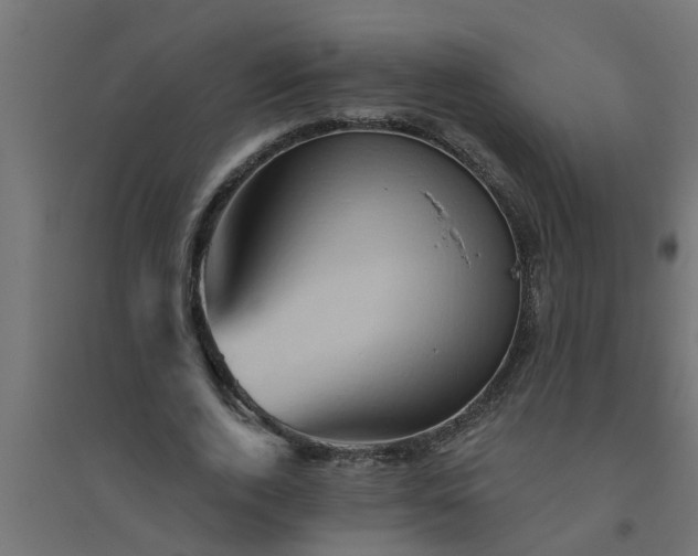 X0000094810728200711241445