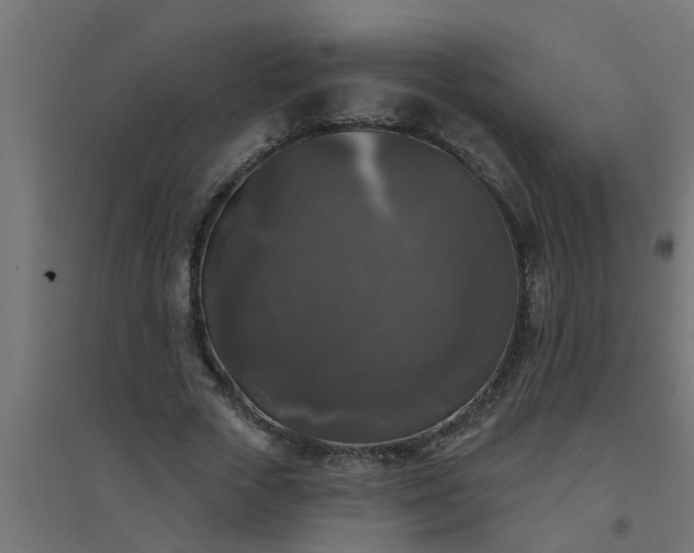 X0000094810729200711241445