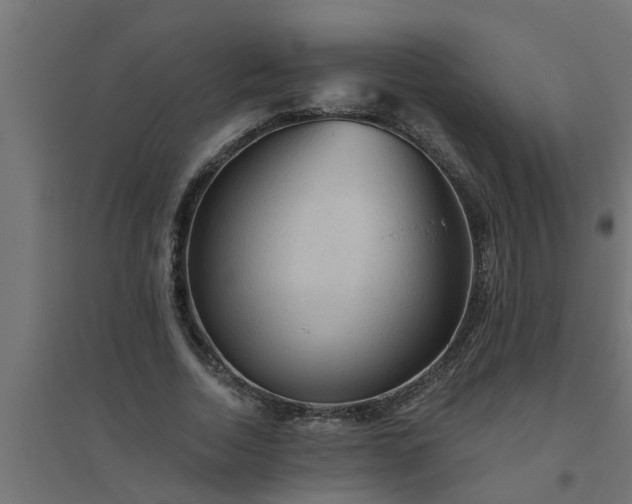 X0000094810730200711241445