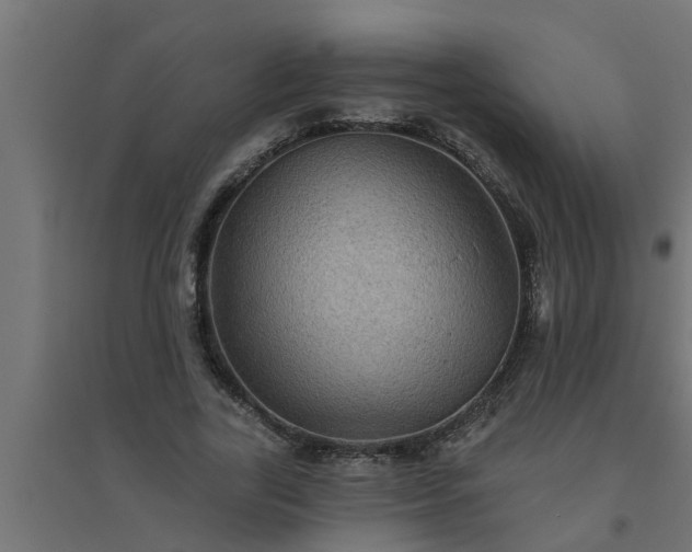 X0000094810731200711241445