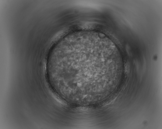 X0000094810733200711241445