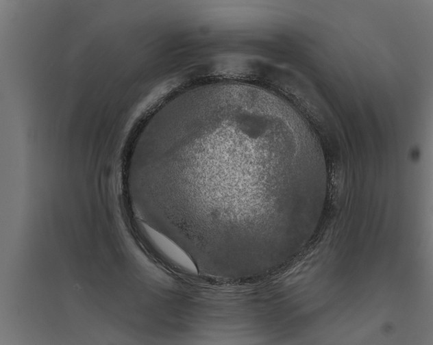 X0000094810734200711241445