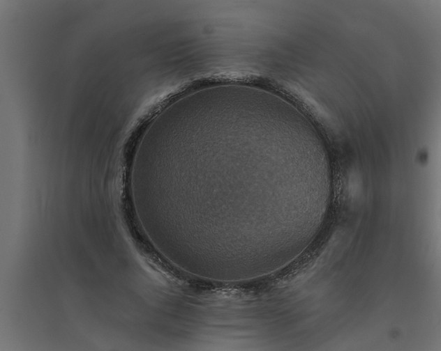 X0000094810736200711241445