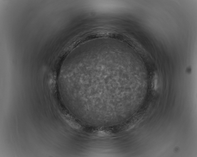 X0000094810737200711241445