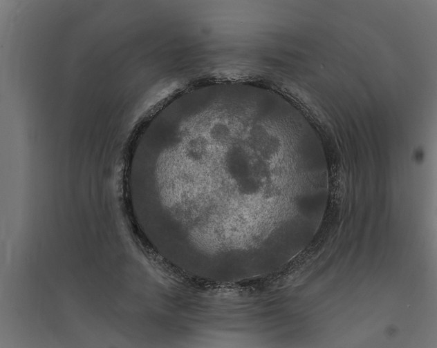 X0000094810738200711241445