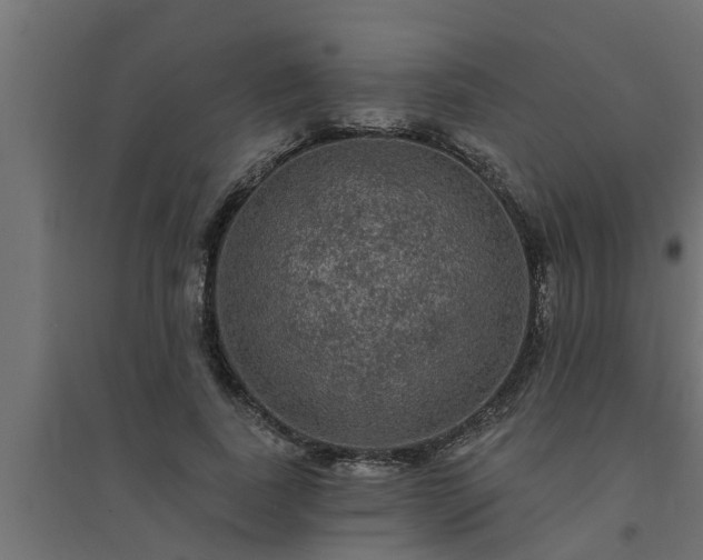 X0000094810739200711241445