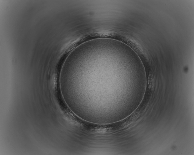 X0000094810740200711241445