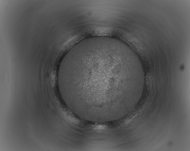 X0000094810741200711241445