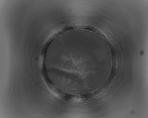 X0000094810742200711241445