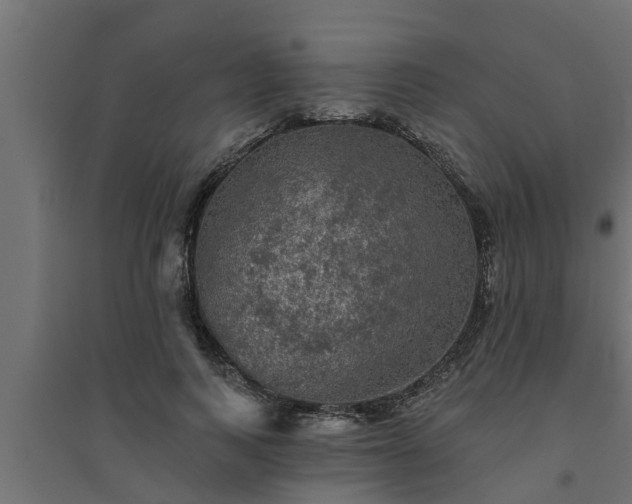 X0000094810743200711241445