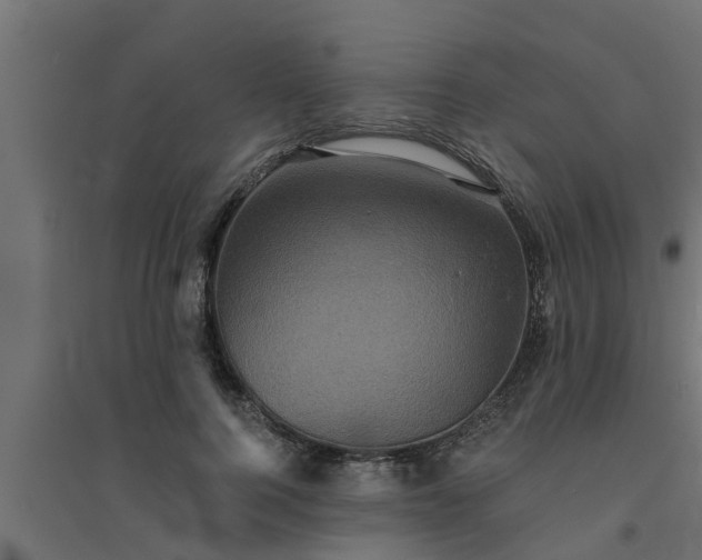 X0000094810744200711241445