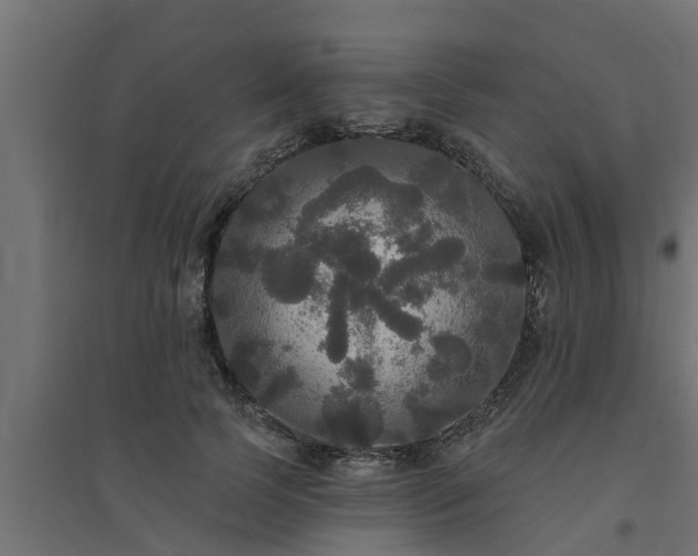 X0000094810745200711241445