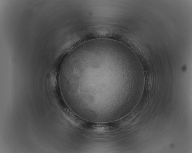 X0000094810746200711241445