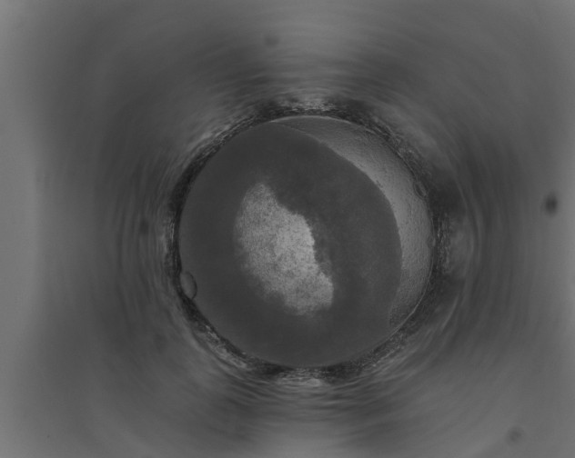 X0000094810747200711241445