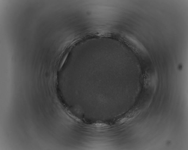 X0000094810748200711241445