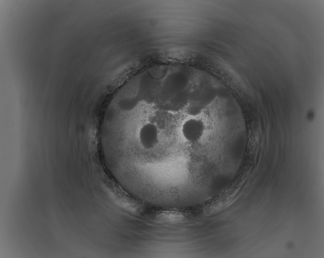 X0000094810749200711241445