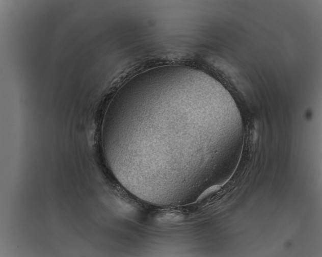 X0000094810750200711241445