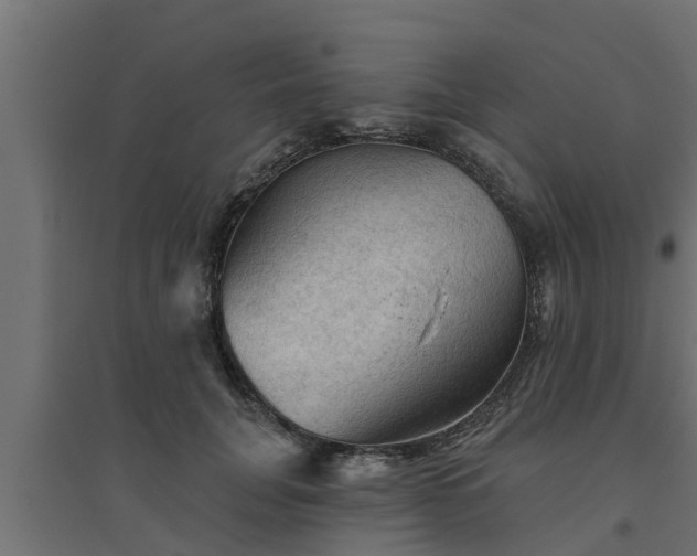 X0000094810751200711241445