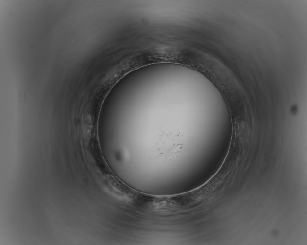 X0000094810752200711241445