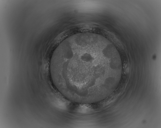 X0000094810753200711241445