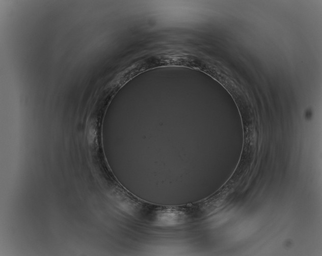 X0000094810754200711241445