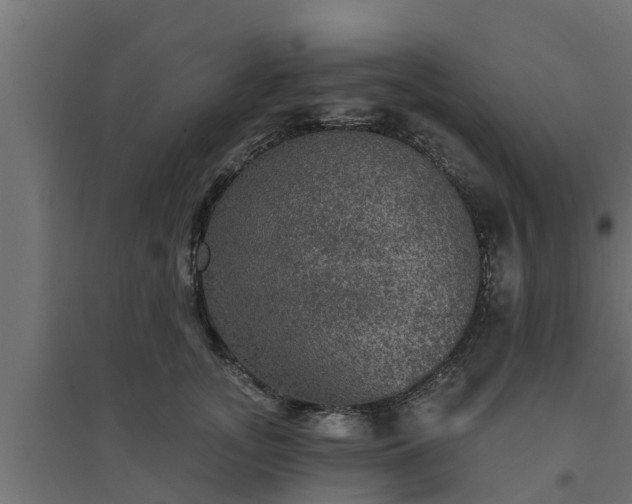 X0000094810755200711241445