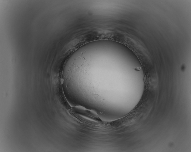 X0000094810756200711241445