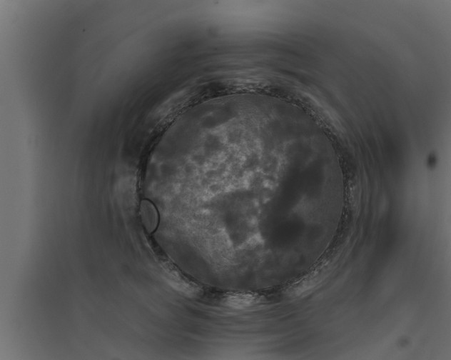 X0000094810757200711241445