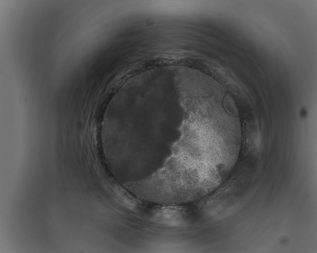 X0000094810758200711241445