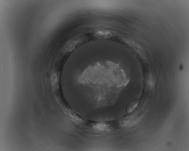 X0000094810759200711241445