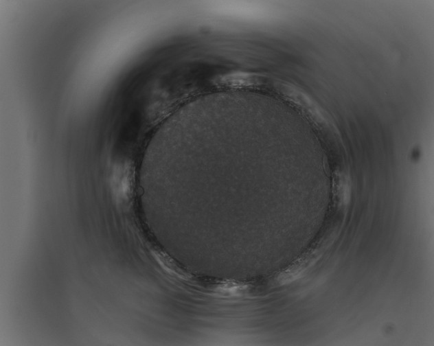 X0000094810760200711241445