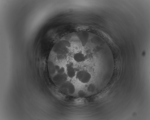 X0000094810761200711241445