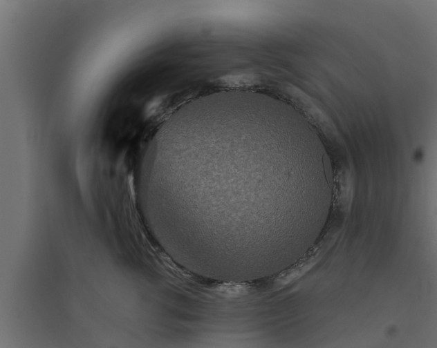 X0000094810762200711241445