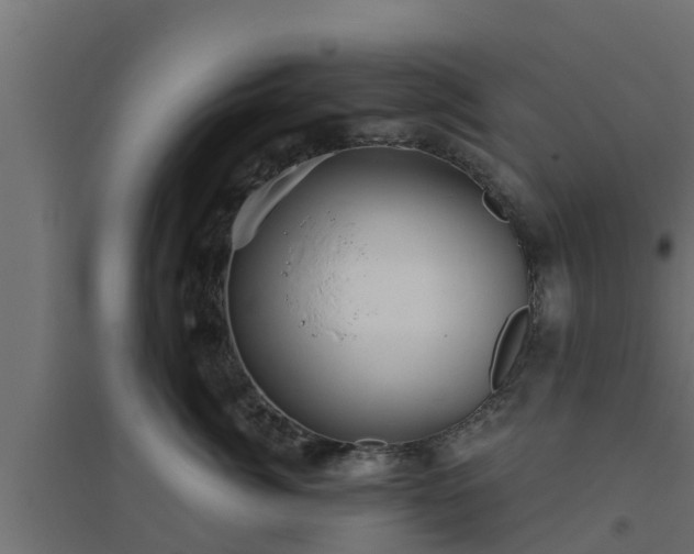 X0000094810764200711241445