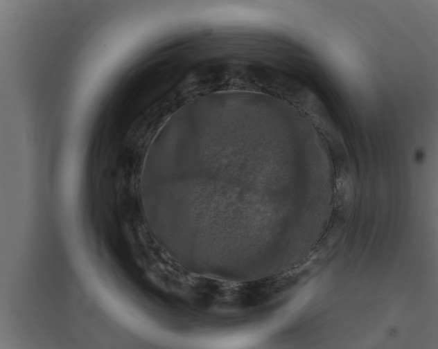 X0000094810765200711241445