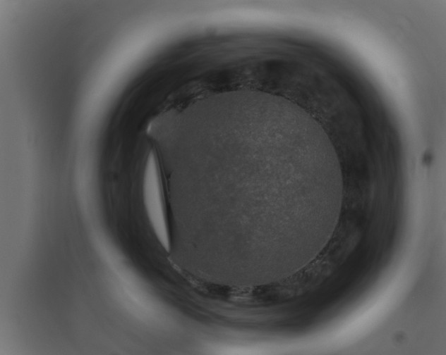 X0000094810766200711241445