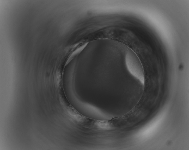 X0000094810767200711241445