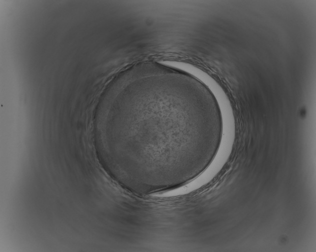 X0000094810769200711241445