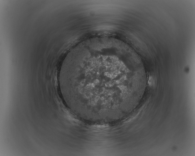 X0000094810771200711241445