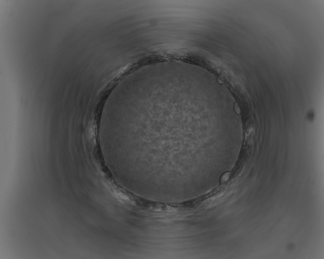 X0000094810772200711241445