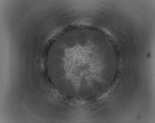 X0000094810774200711241445