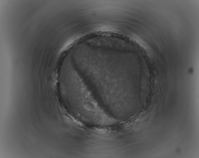 X0000094810775200711241445